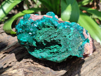 Natural Dioptase Cabinet Specimen x 1 From Congo