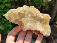 Natural Limonite Quartz Clusters x 5 From Solwezi, Zambia