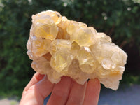 Natural Limonite Quartz Clusters x 5 From Solwezi, Zambia