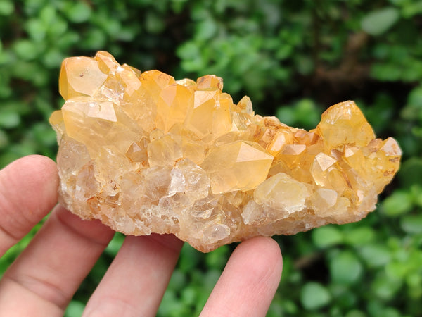 Natural Limonite Quartz Clusters x 12 From Solwezi, Zambia