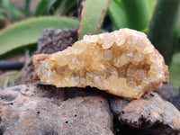 Natural Limonite Quartz Clusters x 12 From Solwezi, Zambia