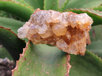 Natural Limonite Quartz Clusters x 12 From Solwezi, Zambia