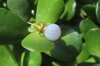 Polished Pair of Blue Lace Agate Stud Earrings - sold per Pair - From Namibia