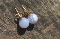 Polished Pair of Blue Lace Agate Stud Earrings - sold per Pair - From Namibia