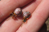 Polished Pair of Snakeskin Rhyolite Jasper Stud Earrings - sold per Pair - From Australia