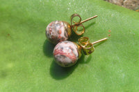 Polished Pair of Snakeskin Rhyolite Jasper Stud Earrings - sold per Pair - From Australia