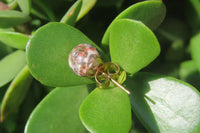 Polished Pair of Snakeskin Rhyolite Jasper Stud Earrings - sold per Pair - From Australia