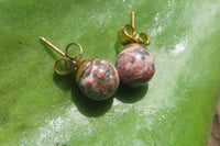 Polished Pair of Snakeskin Rhyolite Jasper Stud Earrings - sold per Pair - From Australia