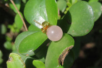 Polished Pair of Rose Quartz Stud Earrings - sold per Pair - From South Africa