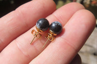 Polished Pair of Snowflake Obsidian Stud Earrings - sold per Pair - From Mexico