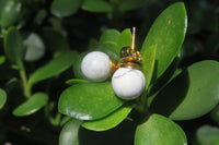 Polished Pair of Lightning Strike Magnesite - Howlite Stud Earrings - Sold per Pair - From Zimbabwe