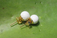 Polished Pair of Lightning Strike Magnesite - Howlite Stud Earrings - Sold per Pair - From Zimbabwe