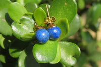 Polished Pair of Lapis Lazuli Stud Earrings - Sold Per Pair - From Afghanistan