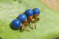 Polished Pair of Lapis Lazuli Stud Earrings - Sold Per Pair - From Afghanistan