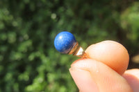 Polished Pair of Lapis Lazuli Stud Earrings - Sold Per Pair - From Afghanistan