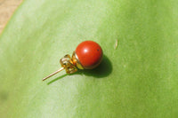 Polished Pair of Red Jasper Stud Earrings - Sold per Pair - From South Africa