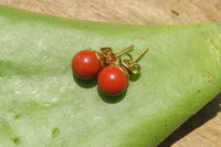 Polished Pair of Red Jasper Stud Earrings - Sold per Pair - From South Africa