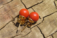 Polished Pair of Red Jasper Stud Earrings - Sold per Pair - From South Africa