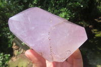 Polished Window Amethyst Quartz Crystals x 2 From Akansobe, Madagascar