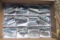 Natural Kyanite Crystal Specimens x 54 From Zimbabwe