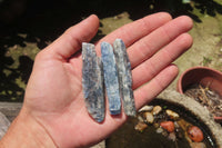 Natural Kyanite Crystal Specimens x 54 From Zimbabwe