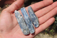 Natural Kyanite Crystal Specimens x 54 From Zimbabwe