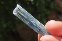 Natural Kyanite Crystal Specimens x 54 From Zimbabwe