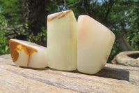 Polished Onyx Standing Free Forms x 23 From Mexico