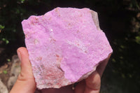 Natural Salrose Cobaltion Dolomite Specimens x 4 From Kakanda, Congo