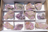 Natural Stichtite Cobbed Specimens x 12 From Barberton, South Africa