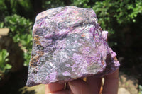 Natural Stichtite Cobbed Specimens x 12 From Barberton, South Africa