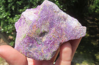 Natural Stichtite Cobbed Specimens x 12 From Barberton, South Africa