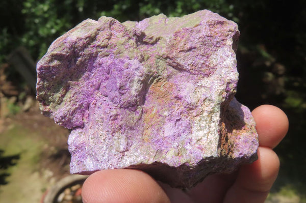 Natural Stichtite Cobbed Specimens x 12 From Barberton, South Africa