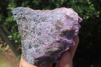 Natural Stichtite Cobbed Specimens x 12 From Barberton, South Africa