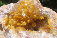 Natural Limonite Quartz Clusters x 6 From Solwezi, Zambia