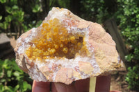 Natural Limonite Quartz Clusters x 6 From Solwezi, Zambia