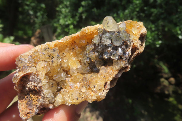 Natural Limonite Quartz Clusters x 6 From Solwezi, Zambia