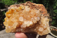 Natural Limonite Quartz Clusters x 6 From Solwezi, Zambia