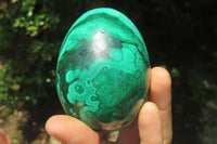 Polished Flower Banded Malachite Gemstone Eggs x 3 From Congo