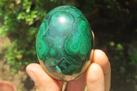 Polished Flower Banded Malachite Gemstone Eggs x 3 From Congo