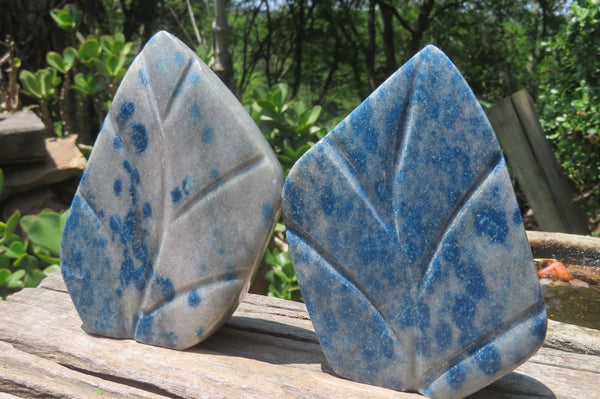 Polished Blue Spotted Spinel Quartz Standing Leaf Carvings x 2 From Madagascar