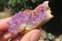 Natural Amethystos Amethyst Clusters x 15 From Kwaggafontein, South Africa