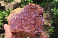 Natural Amethystos Amethyst Clusters x 15 From Kwaggafontein, South Africa