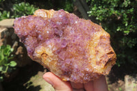 Natural Amethystos Amethyst Clusters x 15 From Kwaggafontein, South Africa