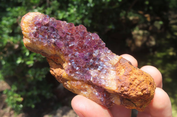 Natural Amethystos Amethyst Clusters x 15 From Kwaggafontein, South Africa