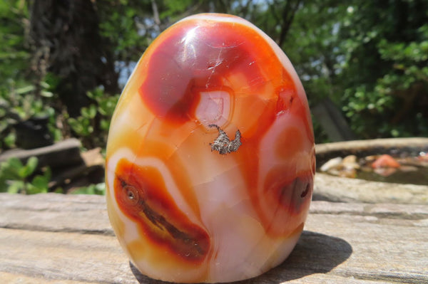 Polished Carnelian Standing Free Forms x 6 From Madagascar