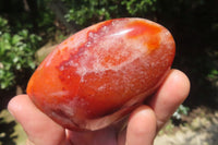 Polished Carnelian Standing Free Forms x 6 From Madagascar