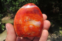 Polished Carnelian Standing Free Forms x 6 From Madagascar