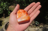 Polished Carnelian Standing Free Forms x 6 From Madagascar