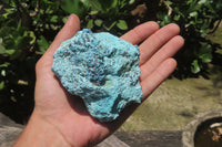 Natural Shattuckite With Chrysocolla & Malachite Specimens x 16 From Namibia